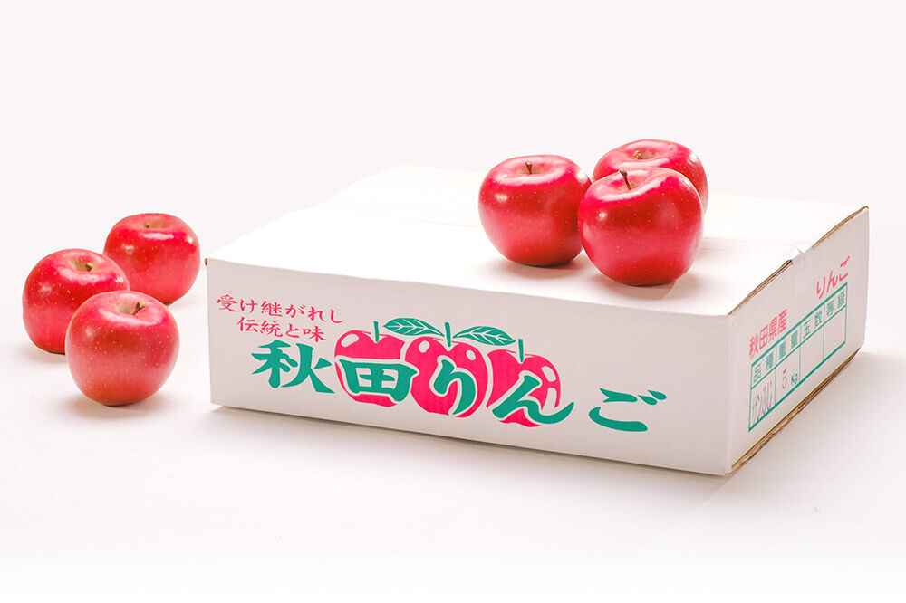 先行受付】12月上旬より発送 樹上完熟りんご（サンふじ）家庭用 約5kg