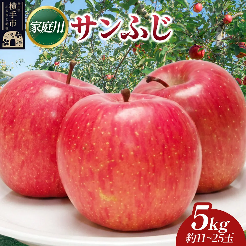 【先行受付】12月上旬より発送 樹上完熟りんご（サンふじ）家庭用 約5kg（約11〜25玉） 喜三郎農園 [先行予約 秋田県 横手市 林檎 リンゴ りんご 果物 フルーツ 家庭用] 秋田県横手市