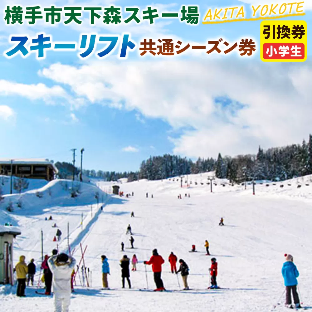 横手市天下森スキー場 スキーリフト共通シーズン券(小学生)引換券 ゆうパケット 秋田県横手市
