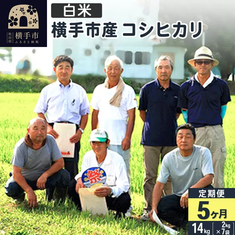 【白米】《定期便5ヶ月》令和5年産 横手産コシヒカリ 14kg(2kg×7袋)×5回 計70kg