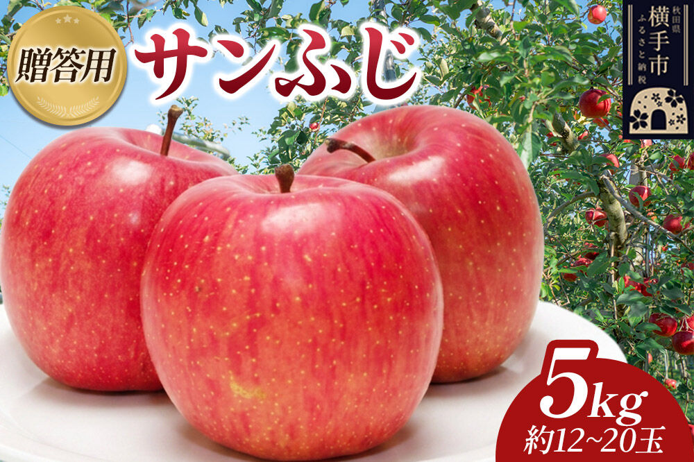 先行受付】12月上旬より発送 樹上完熟りんご（サンふじ）贈答用 約5kg