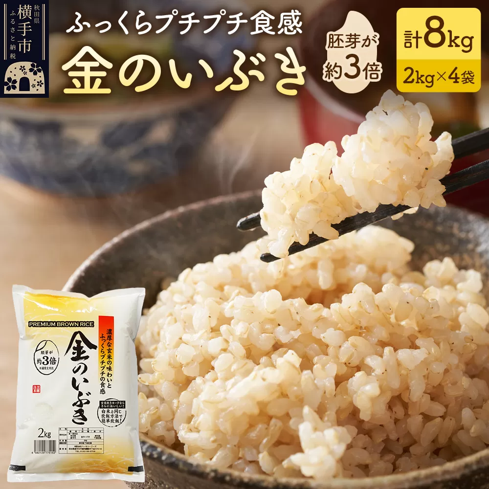 【玄米】米 金のいぶき 8kg(2kg×4袋) 令和7年産 横手市