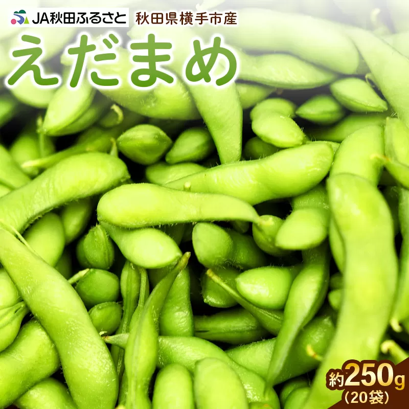 秋田県横手市産 えだまめ 250g×20袋