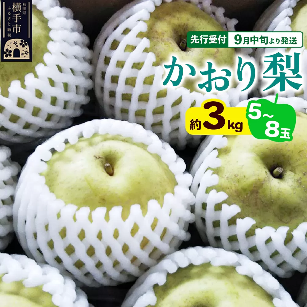 【先行受付】9月中旬より発送 かおり約3kg（5〜8玉）かおり梨 大玉品種 青梨 和梨 秋田県横手市