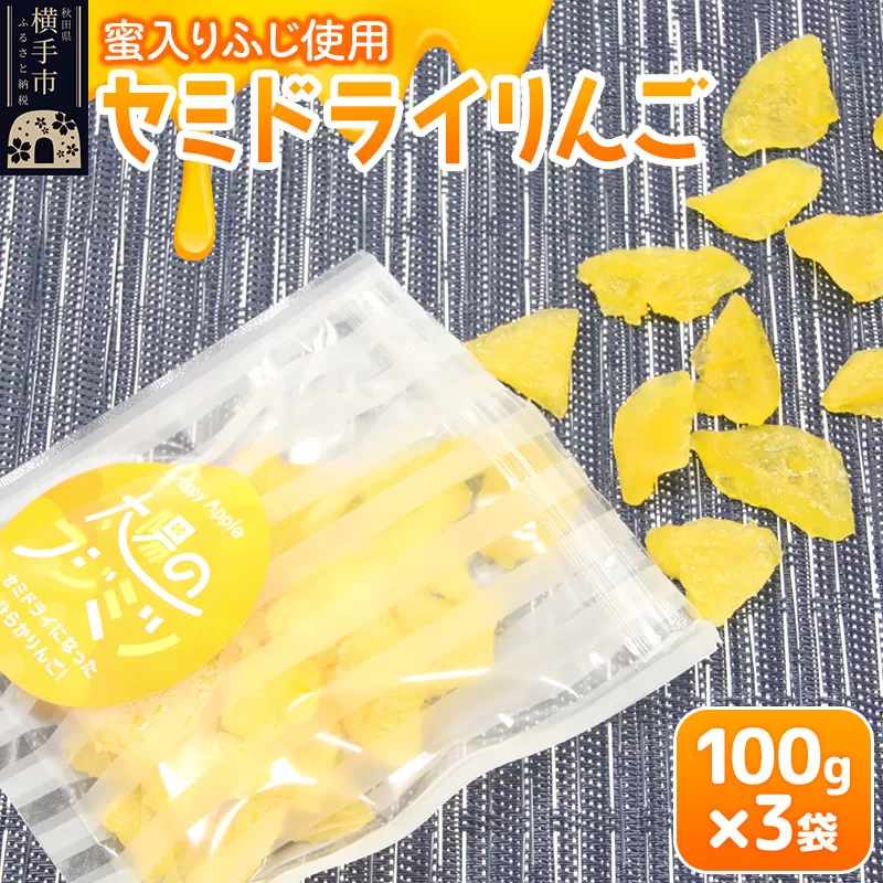 セミドライりんご「太陽のフジミツ」100g×3袋 横手市