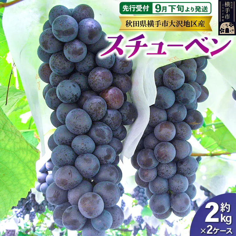 【先行受付】9月下旬より発送 濃甘な完熟葡萄 横手市大沢地区産 ぶどう スチューベン 約2kg×2ケース 横手市