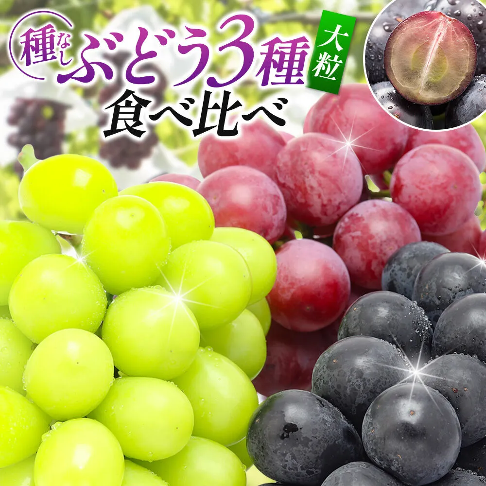 [先行受付]9月中旬より発送 [ぶどう3種食べ比べ]濃甘な完熟葡萄 横手市大沢地区産 旬な種無し大粒品種ぶどう 3種類詰合せ 巨峰 ピオーネ シナノスマイル クィーンニーナ タマユタカ 翠峰 ぶどう ブトウ 種なし 詰め合わせ 食べ比べ フルーツ 果物 秋田 [先行予約 ぶどう ブドウ 葡萄 果物 フルーツ 横手産 秋田産 秋田県産] 秋田県横手市