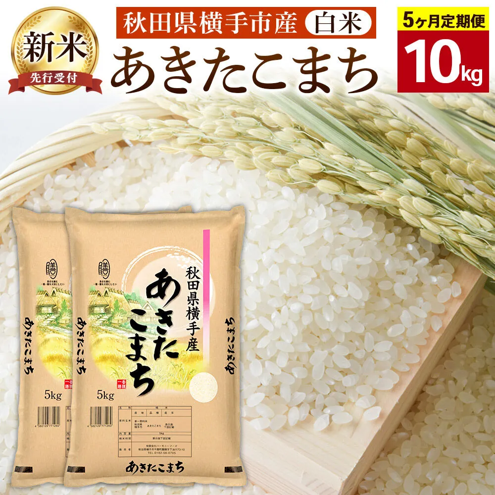 【令和8年産新米受付】【白米】《定期便5ヶ月》横手市産 あきたこまち 10kg(5kg×2袋)×5回 計50kg [秋田県産 あきたこまち 白米 5か月 5ヵ月 5カ月 5ケ月 10キロ 秋田こまち 新米予約] 秋田県横手市