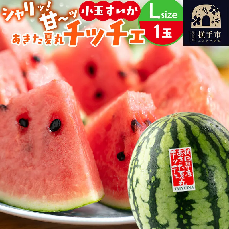 小玉すいか『あきた夏丸チッチェ』秋田県産 約2.1kg〜2.7kg×1玉 [すいか スイカ 西瓜 小玉すいか 小玉スイカ 甘い あきた 秋田 オリジナル品種 夏果物 夏フルーツ あきた夏丸 チッチェ ちっちぇ] 秋田県横手市