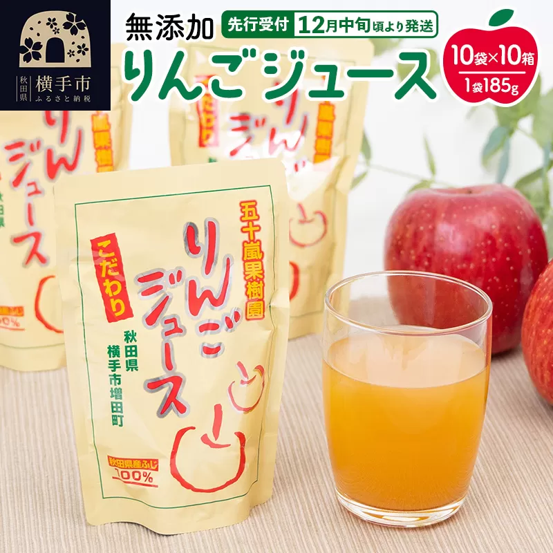 無添加りんごジュース（サンふじ） 185g×10パック×10箱 リンゴジュース 横手市