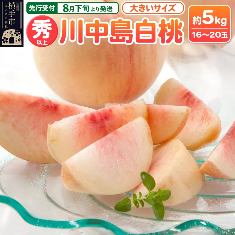 【先行受付】8月下旬より発送 横手市増田産の桃 川中島白桃 約5kg 秀以上 16〜20玉 大きいサイズ