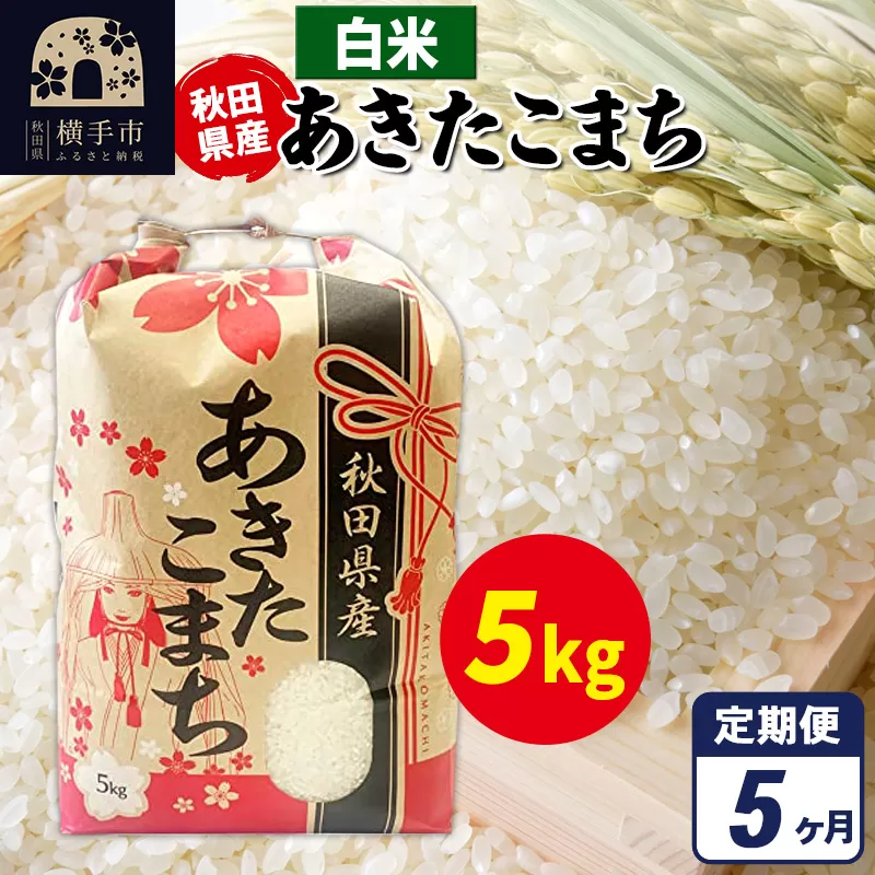 《定期便5ヶ月》あきたこまち 5kg×1袋【白米】令和7年産 秋田県産 こまちライン 横手市