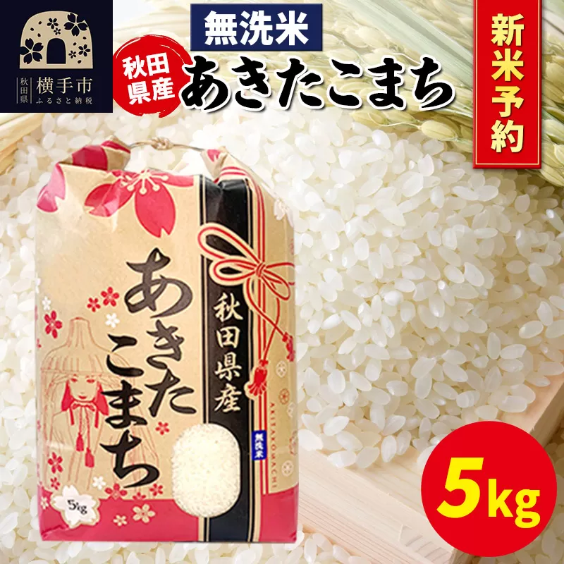 《令和7年産 新米受付》あきたこまち 5kg×1袋【無洗米】秋田県産 こまちライン