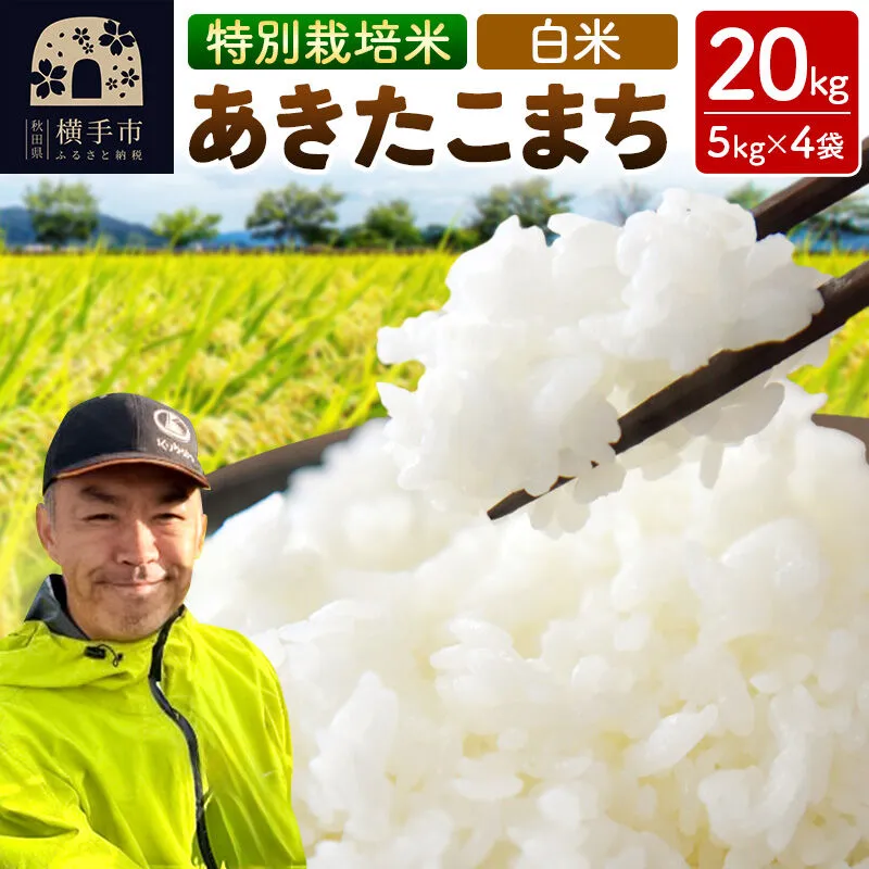 秋田県 横手市 【白米】令和7年産 秋田県産 特別栽培米 あきたこまち 20kg（5kg×4袋） [秋田県産 あきたこまち 秋田こまち 特別栽培米 令和7年産 白米] 秋田県横手市