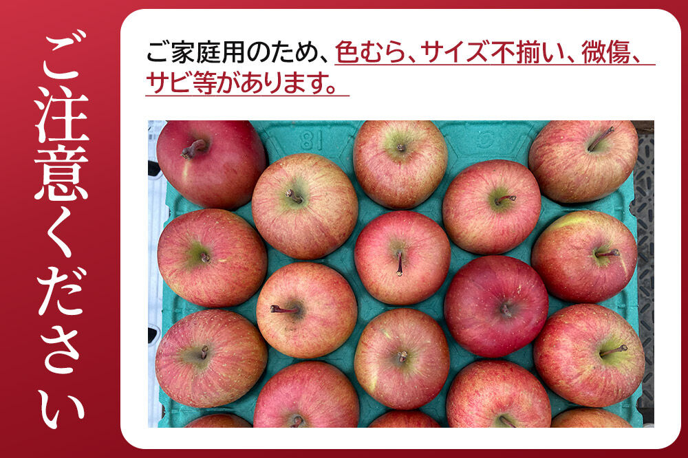 先行受付】12月上旬より発送 樹上完熟りんご（サンふじ）家庭用 約5kg
