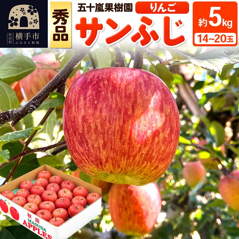 12月中旬より発送 サンふじ【秀品】約5kg（14〜20玉）りんご 林檎 秋田県横手市