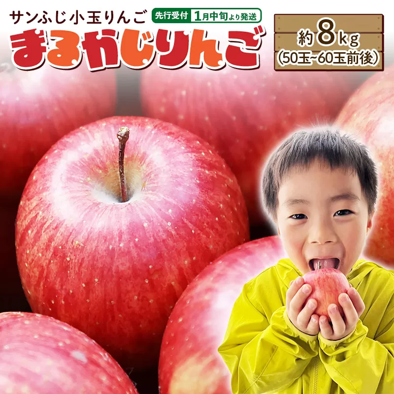 【先行受付】1月中旬より発送 【ご家庭用】サンふじ小玉りんご「まるかじりんご」約8kg（50玉〜60玉前後） 横手市