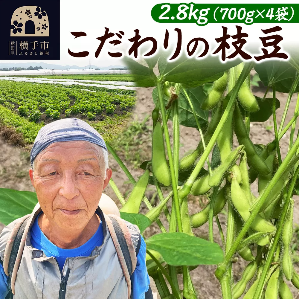 7月下旬より発送 こだわりの枝豆 2.8kg（700g×4袋）秋田県横手市産 横手市