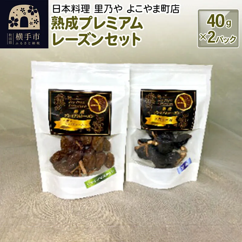 熟成プレミアムレーズンセット 40g×2パック [ドライフルーツ レーズン 枝付き ギフト] 秋田県横手市