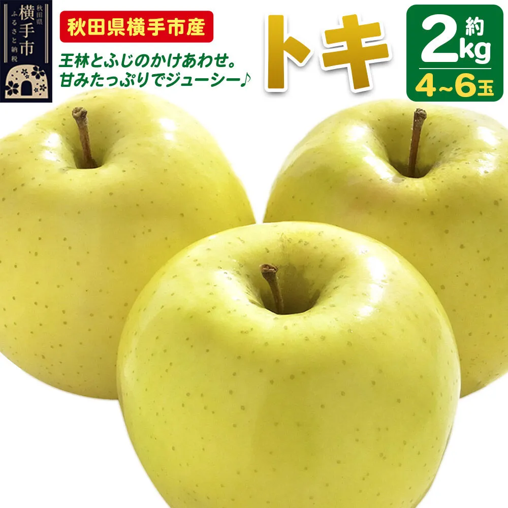 [先行受付 9月下旬より発送]りんご トキ 約2kg(4〜6玉) [先行予約 トキ りんご アップル おいしい 果実 果物 黄色 美味 林檎] 秋田県横手市