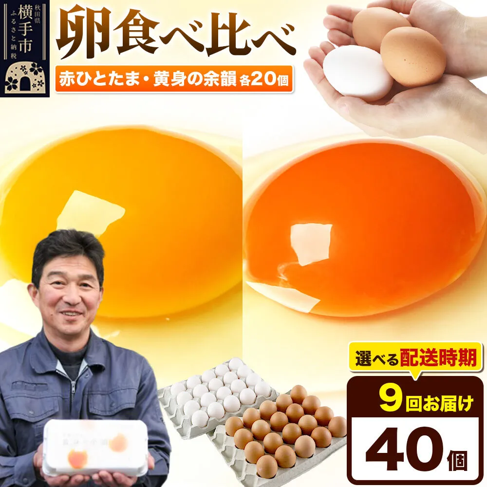 【常温発送】《定期便9ヶ月》赤ひとたま 20個・黄身の余韻 20個 計40個（業務用）【発送時期が選べる】東海林養鶏場 赤ひとたま 黄身の余韻 卵 玉子 たまご タマゴ 9か月 9ヵ月 9カ月 9ケ月 開始時期選べる [東海林養鶏場 赤ひとたま 黄身の余韻 卵 玉子 たまご タマゴ 9か月 9ヵ月 9カ月 9ケ月 開始時期選べる] 秋田県横手市