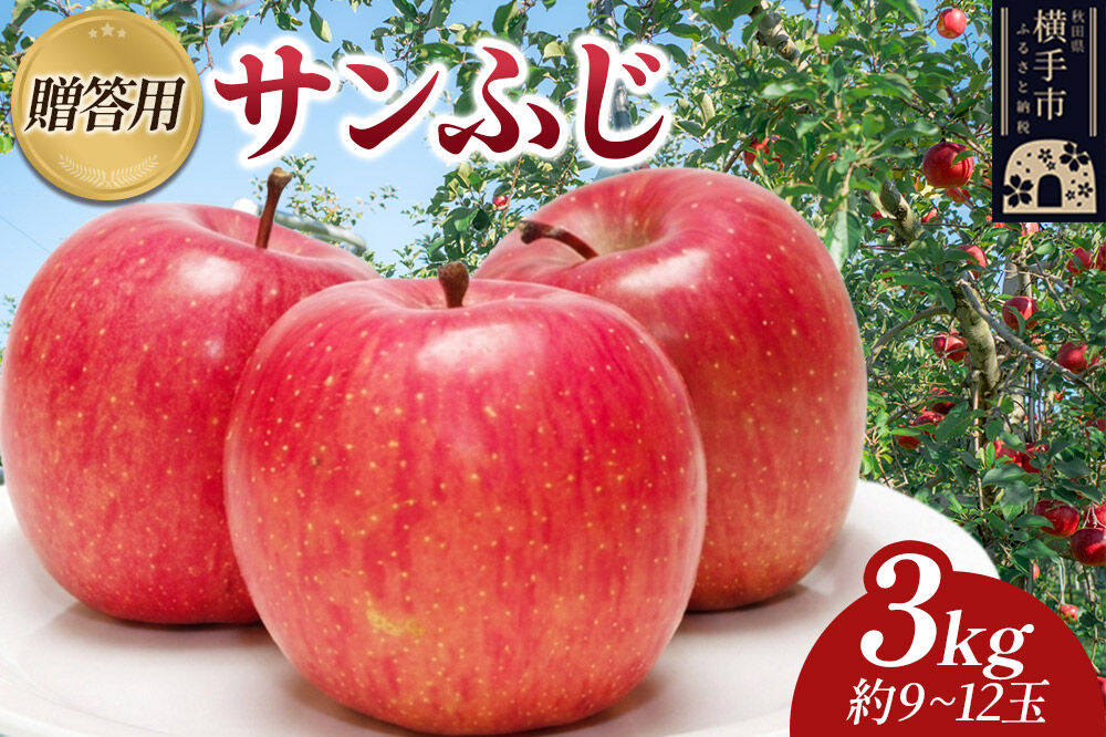 先行受付】12月上旬より発送 樹上完熟りんご（サンふじ）贈答用 約3kg