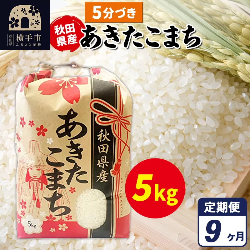 《定期便9ヶ月》あきたこまち 5kg【5分づき】令和7年産 秋田県産 こまちライン 秋田県横手市