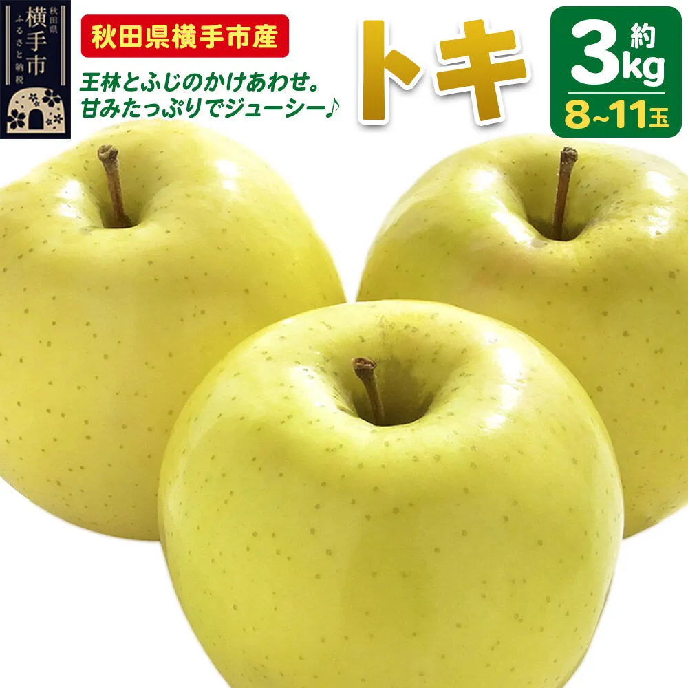 【先行受付 9月下旬より発送】りんご トキ 約3kg（8〜11玉） [先行予約 トキ りんご アップル おいしい 果実 果物 黄色 美味 林檎] 秋田県横手市