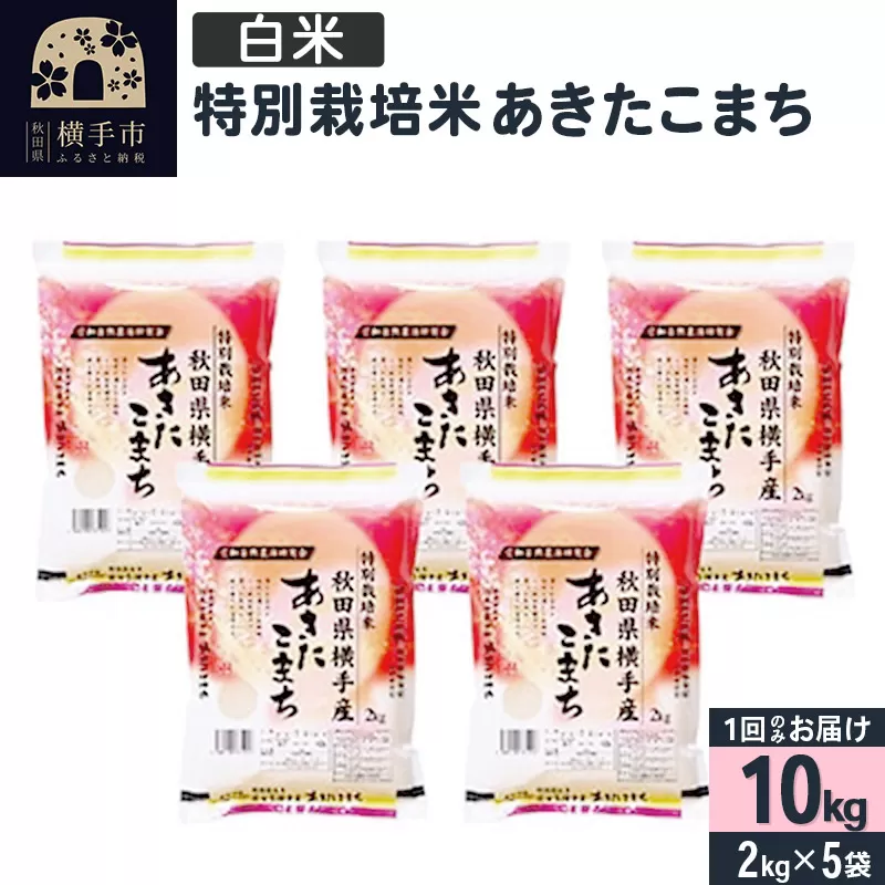 【白米】令和6年産 特別栽培米 あきたこまち 10kg（2kg×5袋） 横手市