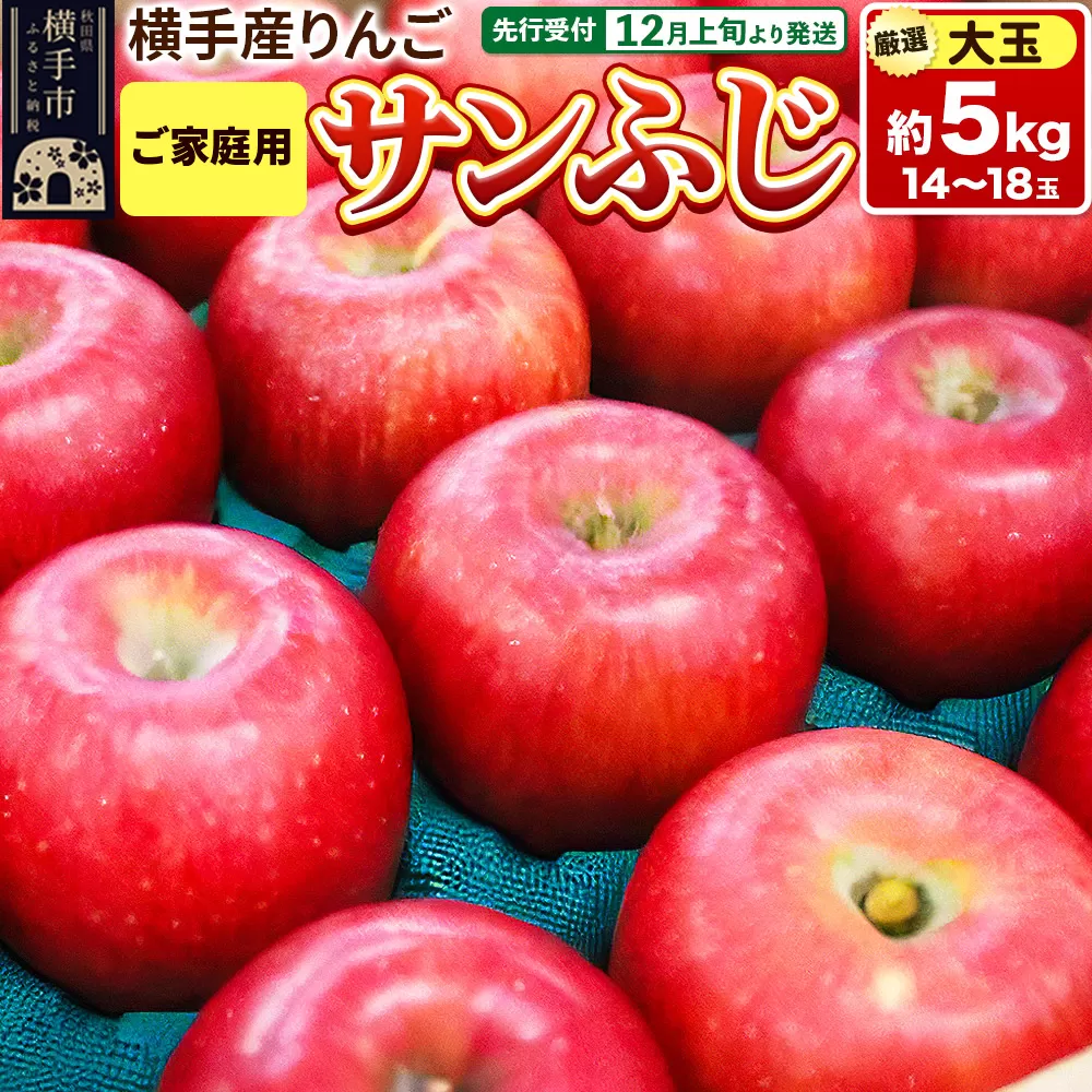 【先行受付】12月上旬より発送 横手市増田産りんご サンふじ【大玉】ご家庭用 約5kg 横手市