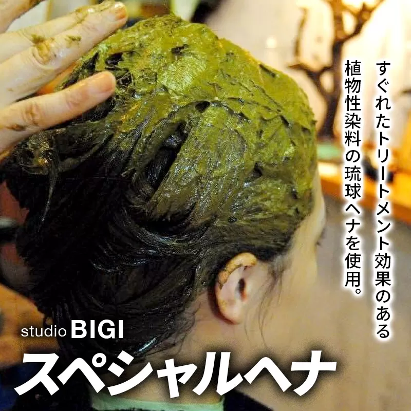 スペシャルヘナ 横手市