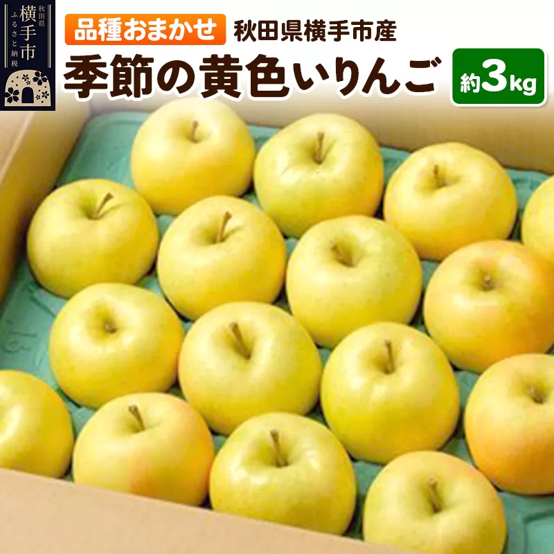 季節の黄色いりんご 約3kg 横手市