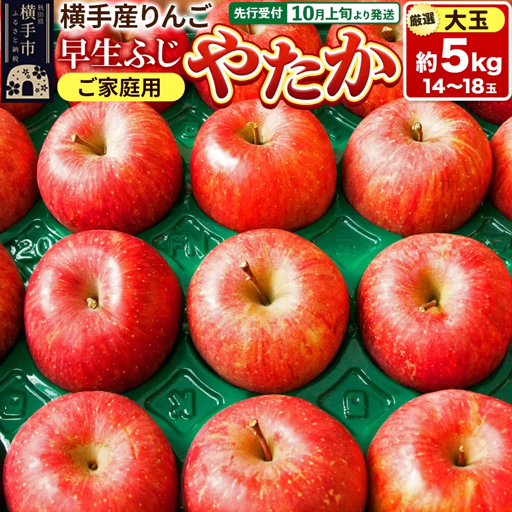 【先行受付】10月上旬より発送 横手市りんご 早生ふじ・やたか【大玉】ご家庭用 約5kg 横手市