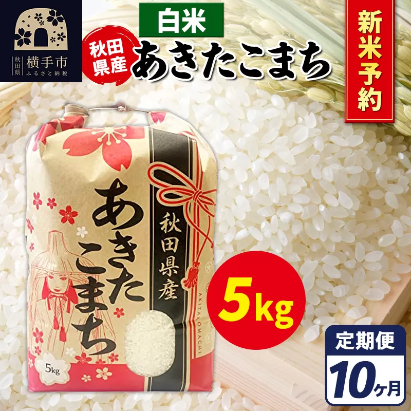 《令和7年産 新米受付》《定期便10ヶ月》あきたこまち 5kg【白米】秋田県産 こまちライン 横手市