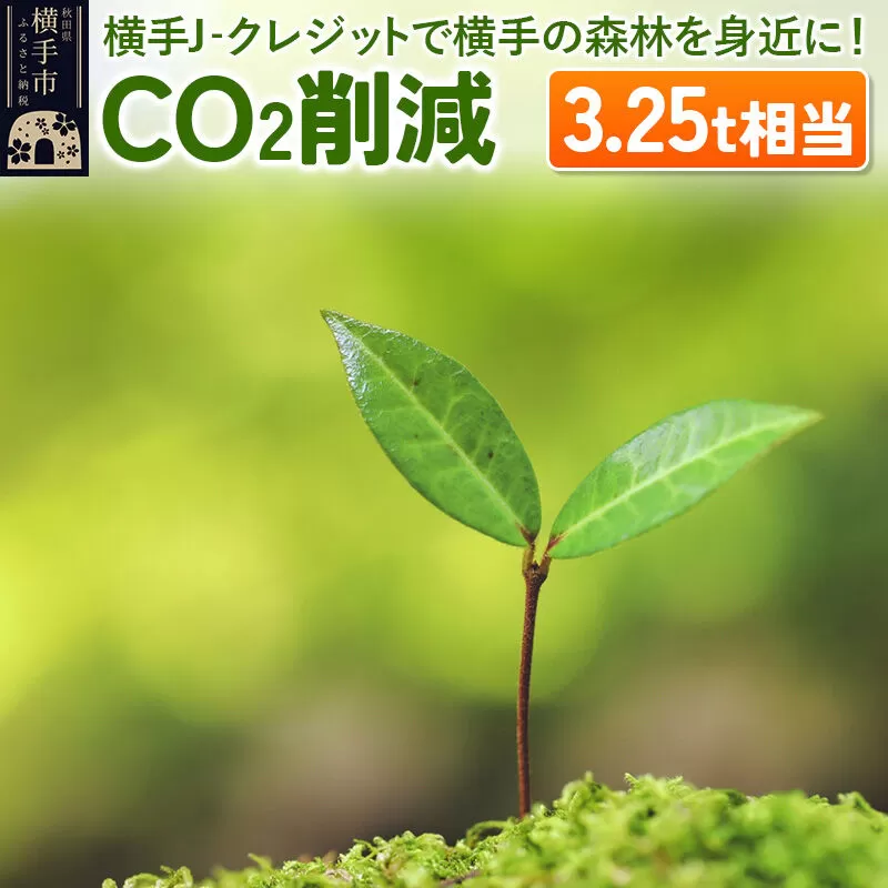 横手J‐クレジットで横手の森林を身近に! CO2削減 3.25t相当 [環境保護 森林保全 森林保護 SDGs エコ eco 二酸化炭素 CO2] 秋田県横手市