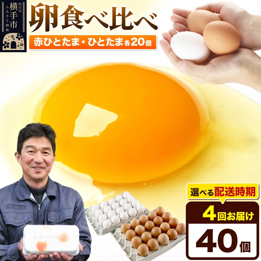 【常温発送】《定期便4ヶ月》赤ひとたま 20個・ひとたま 20個 計40個（業務用）【発送時期が選べる】東海林養鶏場 赤ひとたま ひとたま 卵 玉子 たまご タマゴ 4か月 4ヵ月 4カ月 4ケ月 開始時期選べる [東海林養鶏場 赤ひとたま ひとたま 卵 玉子 たまご タマゴ 4か月 4ヵ月 4カ月 4ケ月 開始時期選べる] 秋田県横手市