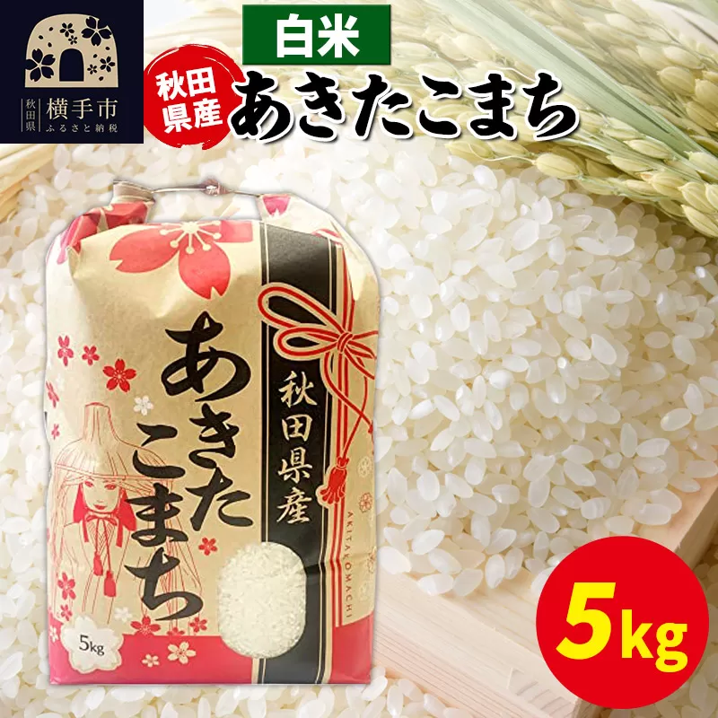 あきたこまち 5kg×1袋【白米】令和6年産 秋田県産 こまちライン