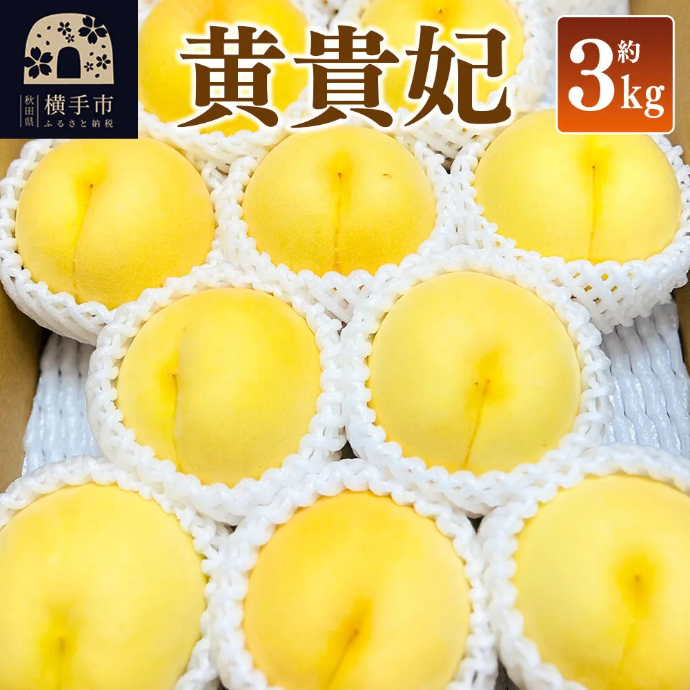 【先行受付】9月上旬より発送 黄貴妃 約3kg（9〜13玉前後）モモ もも 黄色桃 [先行予約 もも モモ 黄桃 黄色桃 果物 フルーツ 横手産 秋田産 秋田県産] 秋田県横手市