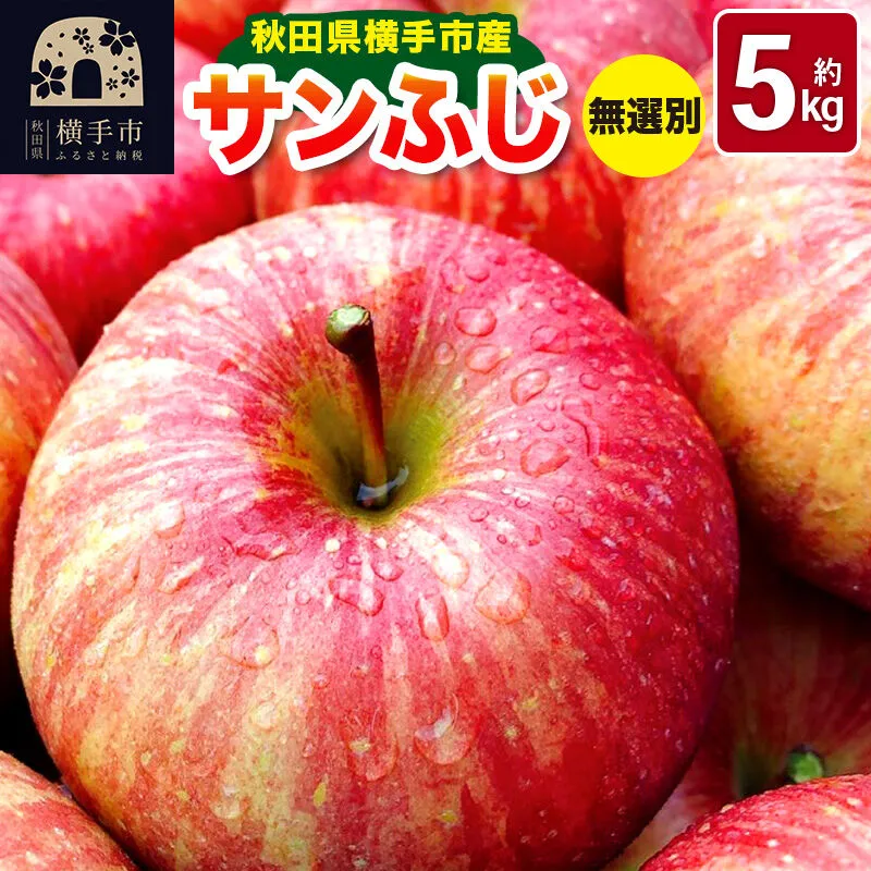 [先行受付!12月上旬より順次発送]秋田県横手市産 サンふじ りんご 無選別 約5kg [先行予約 生きがい食材納入組合りんご サンふじ] 秋田県横手市