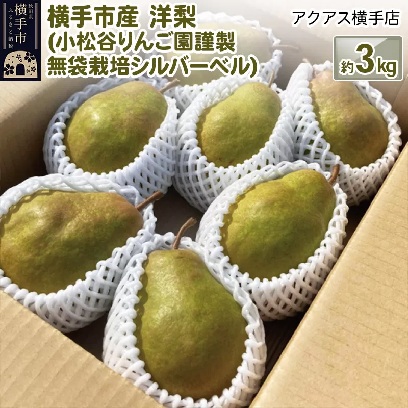 洋梨 横手市産 小松谷りんご園謹製 無袋栽培シルバーベル 約3kg 横手市