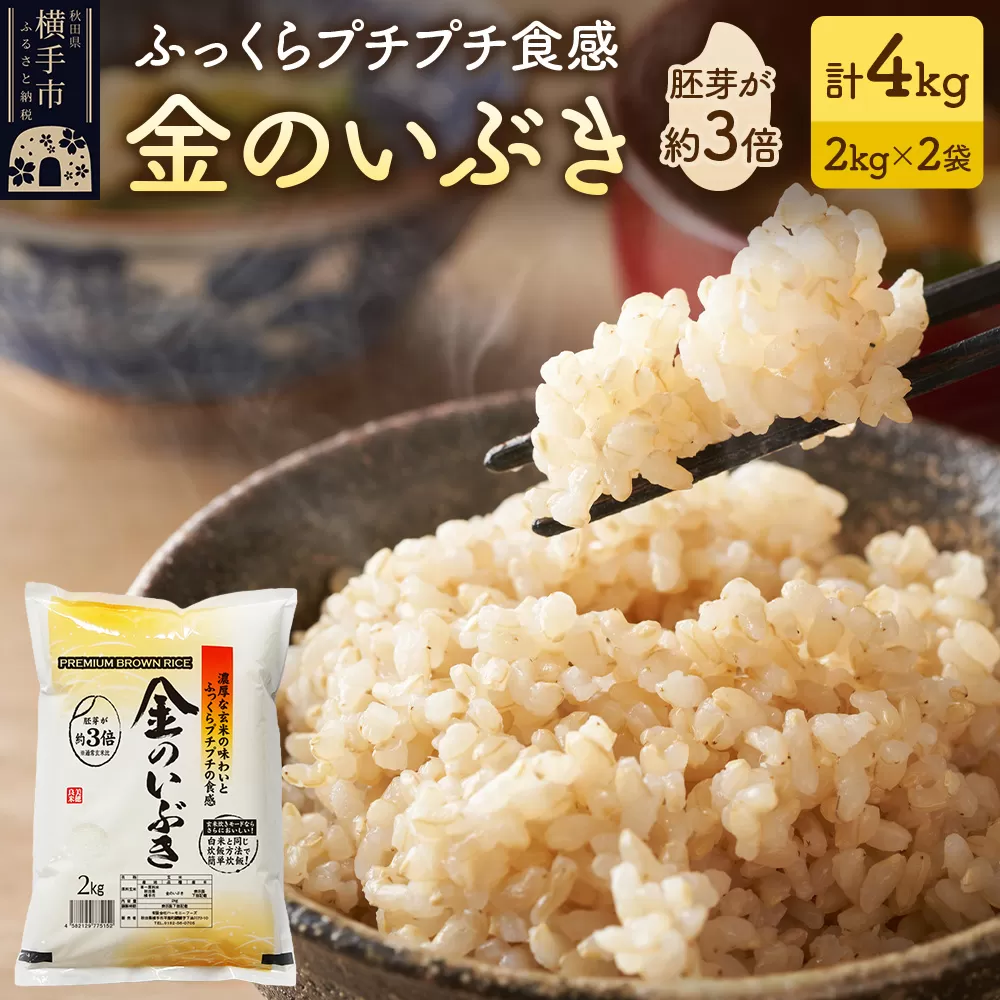 【玄米】米 金のいぶき 4kg(2kg×2袋) 令和7年産 秋田県横手市