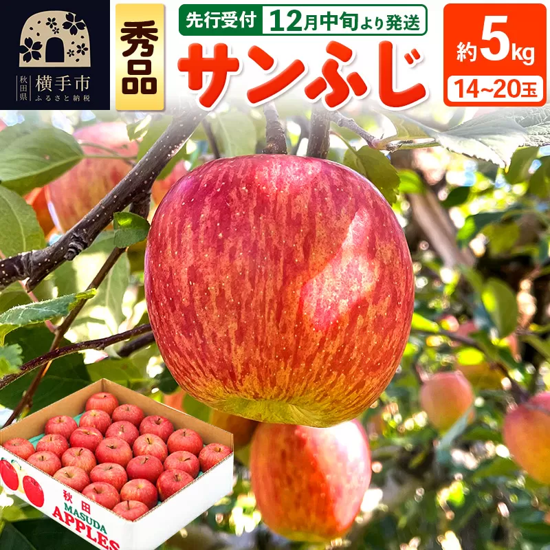 【先行受付】12月中旬より発送 サンふじ【秀品】約5kg（14〜20玉）りんご 林檎