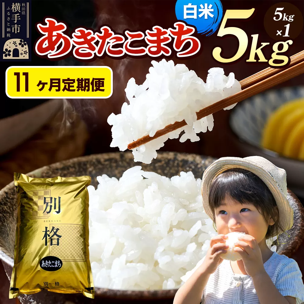 《令和7年産》《定期便11ヶ月》 米 あきたこまち 5kg 【白米】 秋田県産 秋田県横手市