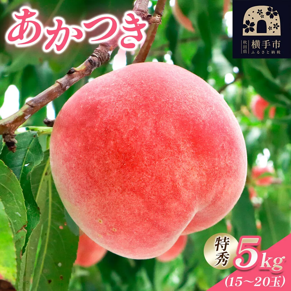 【秋田県横手市産】 白桃 約5kg（あかつき）特秀 15〜20玉 桃 [もも モモ 白桃 はくとう 果物 フルーツ 産地直送 お取り寄せ] 秋田県横手市