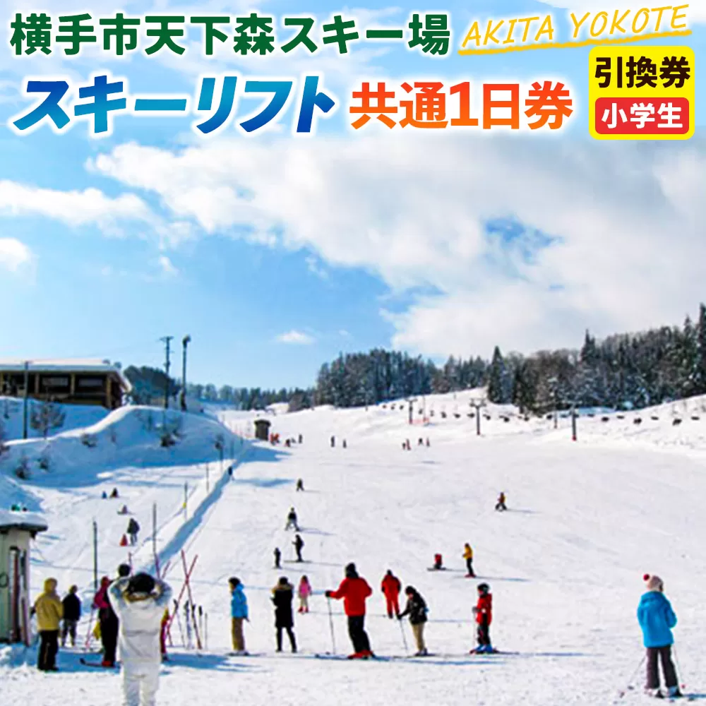 横手市天下森スキー場 スキーリフト共通1日券(小学生)引換券 ゆうパケット 秋田県横手市