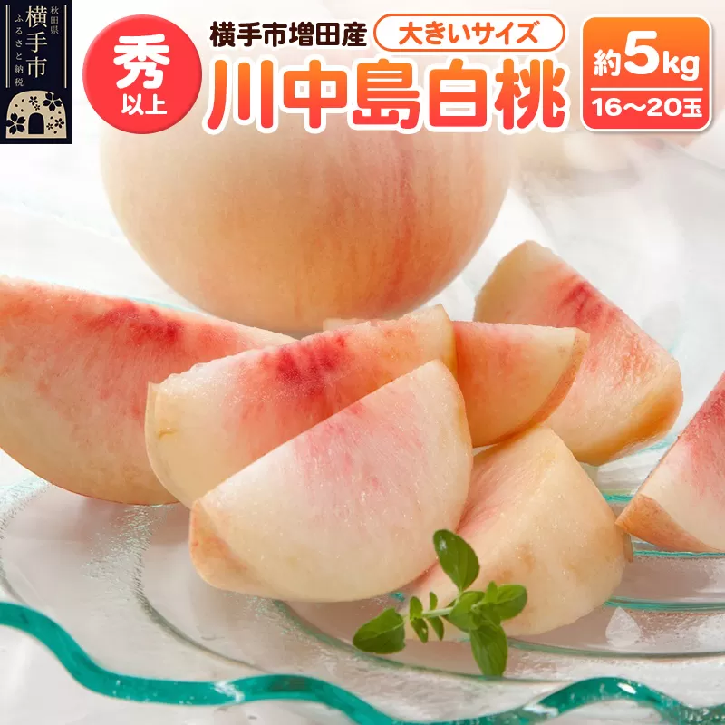 横手市増田産の桃 川中島白桃 約5kg 秀以上 16〜20玉 大きいサイズ