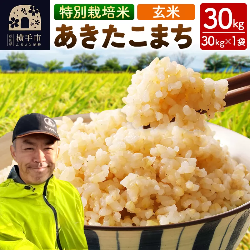 秋田県 横手市 【玄米】令和7年産 特別栽培米 あきたこまち 30kg（30kg×1袋） 秋田県横手市