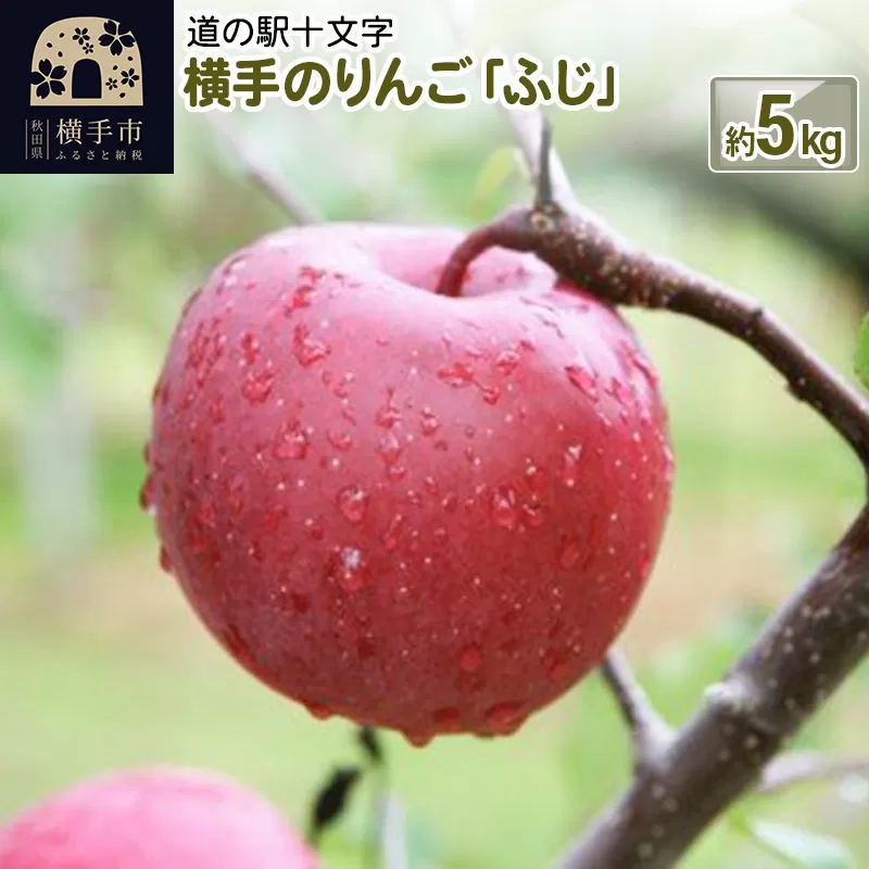 横手のりんご「ふじ」 約5kg