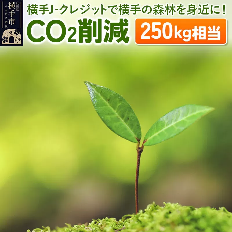 横手J‐クレジットで横手の森林を身近に! CO2削減 250kg相当 [環境保護 森林保全 森林保護 SDGs エコ eco 二酸化炭素 CO2] 秋田県横手市