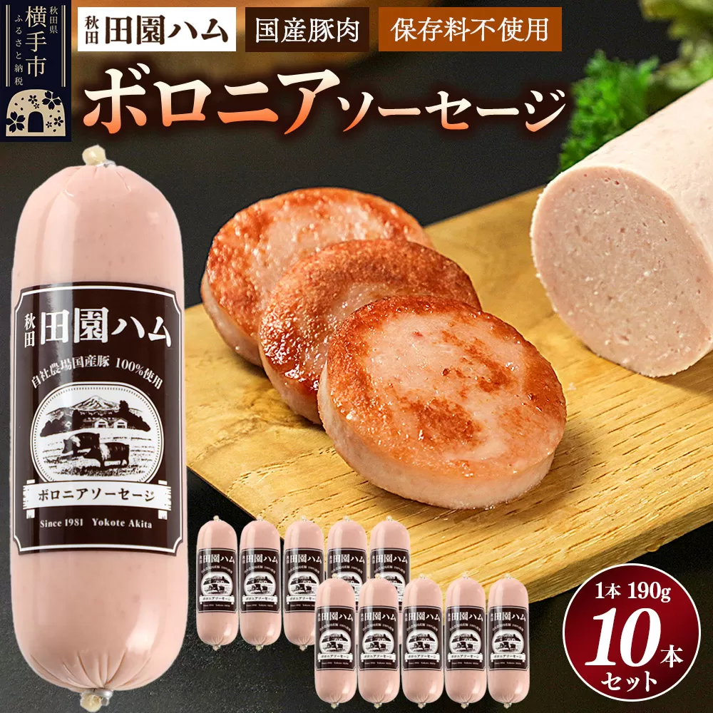 田園ハム ボロニアソーセージ 190g×10本セット